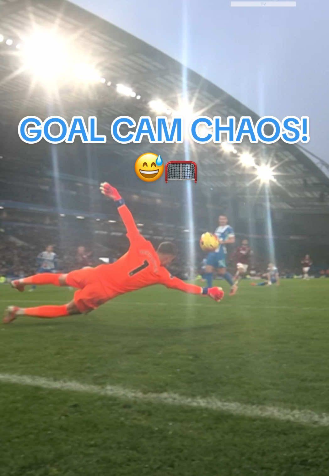 Goal cam fighting for its’ life in the back of the net! 😅 #BHAFC #PL #BartVerbruggen 