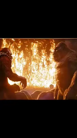 fouryou 🤞 🤞 🤞 