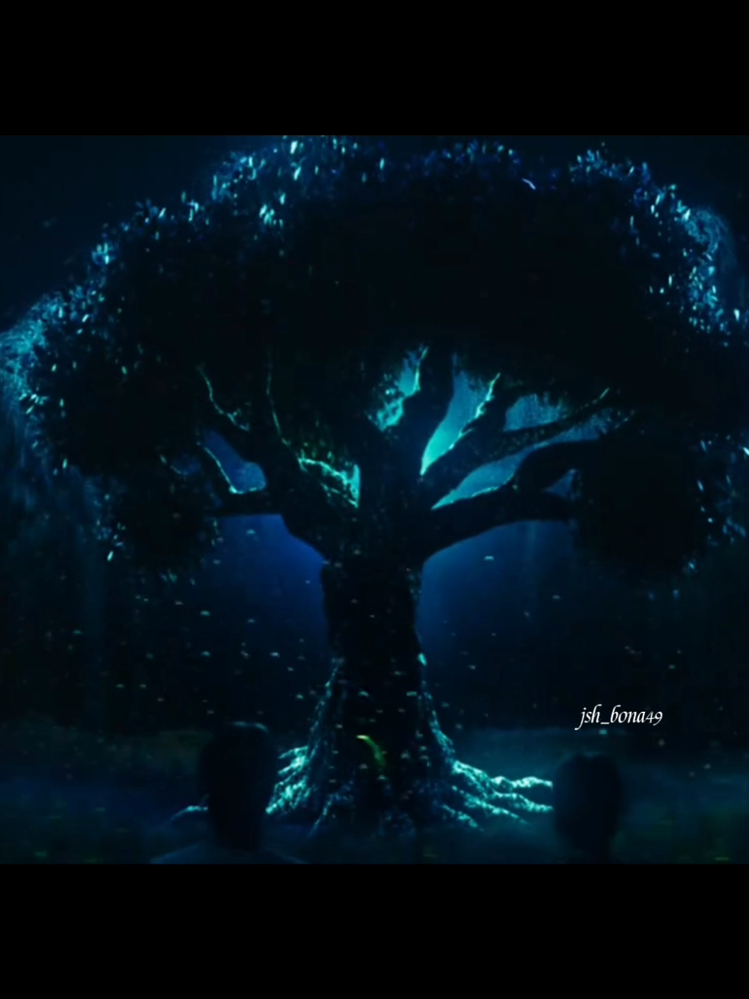 mereka kembali dengan konsep yang luar biasa,pohon kami masih kokoh hingga sekarang🥰😍 @EXO @Company Soosoo @Lay Zhang 张艺兴  #EXO #REVERXE #exol #fypシ゚ #fypage 