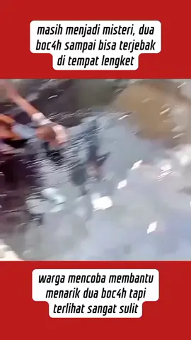 #fypシ  #tiktokviral #tiktok 