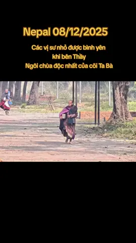 Sự bình yên tại Nepal #masterminhtue #monkminhtue #thayminhtue #hoacuaphat 