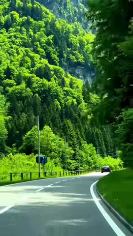 «ما بين وداعٍ وعودة… تسرّب للطبيعة سرّها، فتهدأ الروح ويُمحى الفراق، وتبقى رحلة الشوق أجمل ما خَطَّه القلب 🌿✨»«الوِداع خطوة، والرجعة وعد… وبينهما جمالٌ يسرق الأنفاس 🌄🤍» #نشيد_يمني_قديم#مناظر_طبيعية #تركيا #سويسرا #الصين