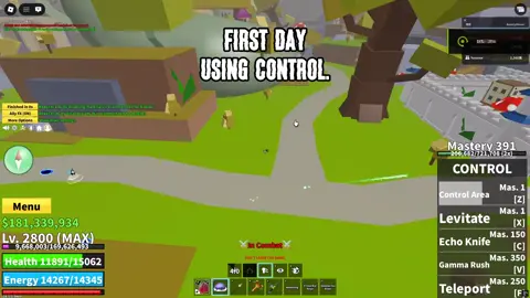 Day 1 Using Control... #roblox #fyp #bloxfruits #controlrework 