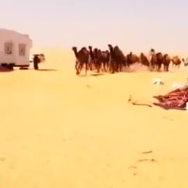 #مجرد_ذووقツ #اكسبلور #البل 