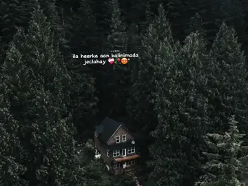 #TrendMomentos #foryoupage #fyp #foryou 