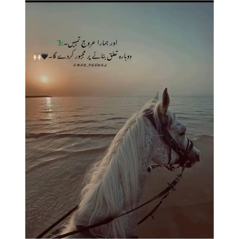 #fypシ゚viral🖤tiktok☆♡🦋myvideo #foryoupage #unfrezzmyaccount #fypシ゚viral🖤tiktok #foryou 