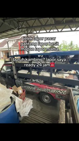 sat set #peternakkambing #kambingsehat #dagingkambing #peternakblitar #jambemandiriindonesia 