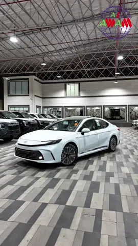 #شركة_عالم_العوام #2025 #fyp #نجران 