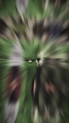 😍 #t02 #xuhuong #ahllvtnd #trungtuongmaihoang #maihoang  