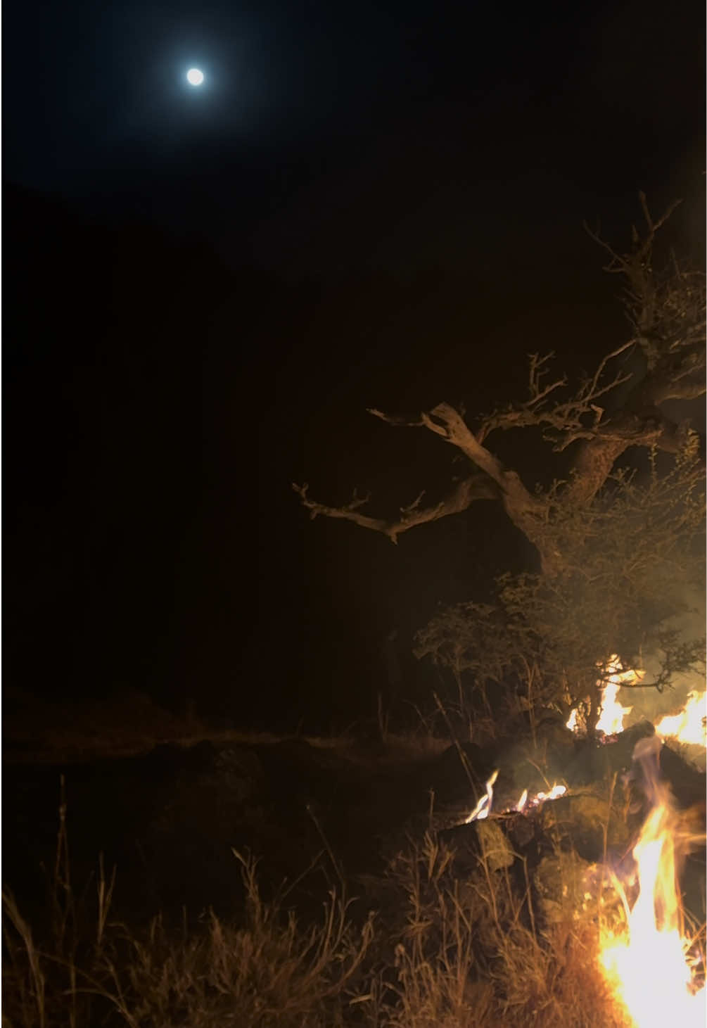 ایک چاند کو پانے کی خاطر ہم اپنی حسین راتیں گنوا بیٹھے۔🥀