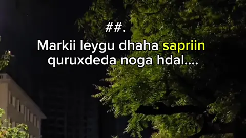 Repost dhac kusii😍🫶#fypシ #fypシ゚ #fypシ゚ #viral #viewsproblem💔😔 