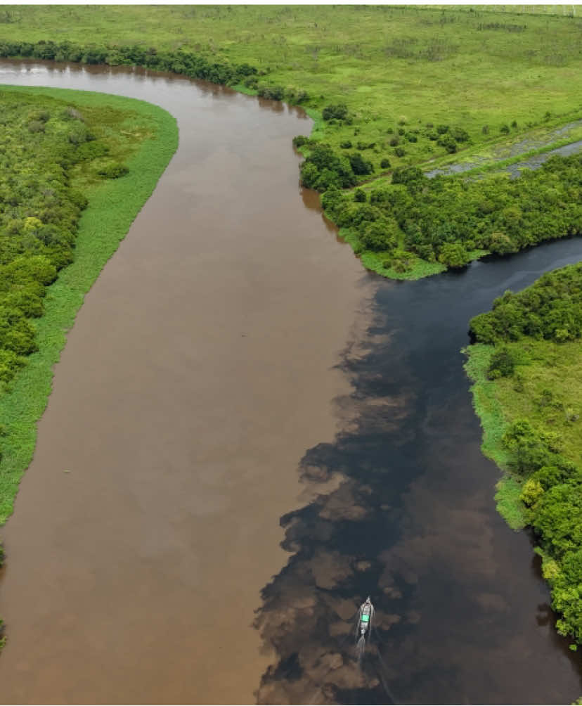 KALIMANTAN TENGAH🥀 Selamatkan hutan dan sungai kami, banyak PT yang tidak bertanggung jawab masalah dampak yg masyarakat rasakan. #prabowo #hutankalimantan #seruyan #kualapembuang #kalimantantengah 