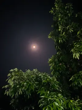 আকাশ যতই তারায় ভরে থাকুক, চোখ তো খুজেঁ শুধু চাঁদকেই,,😊❤️‍🩹#foryou #foryoupage #trending #tiktok#fyppppppppppppppppppppppp 