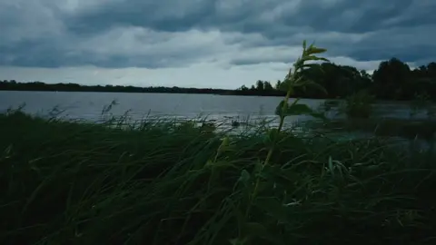 Molana Tariq Jameel emotional bayan 😭#tariqjameel #foryoupageofficiall #islamic_video #fypシ゚viral 