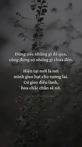 #annhien #binhyen #chualanh #healing #gocNhoAnNhien 