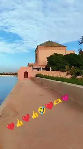 #المغرب🇲🇦تونس🇹🇳الجزائر🇩🇿 #المغرب🇲🇦تونس🇹🇳الجزائر🇩🇿 #الشعب_الصيني_ماله_حل😂😂 #السعوديه🇸🇦 #السعودية 