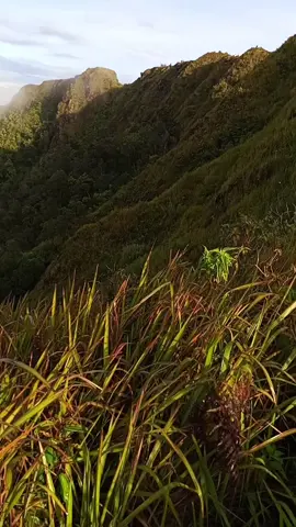 kerjo yo di imbangi healing to rek#mtungaran #perantunanbandungan 