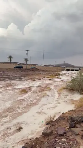 #تيماء_تبوك_الممكله_العربيه_السعوديه 