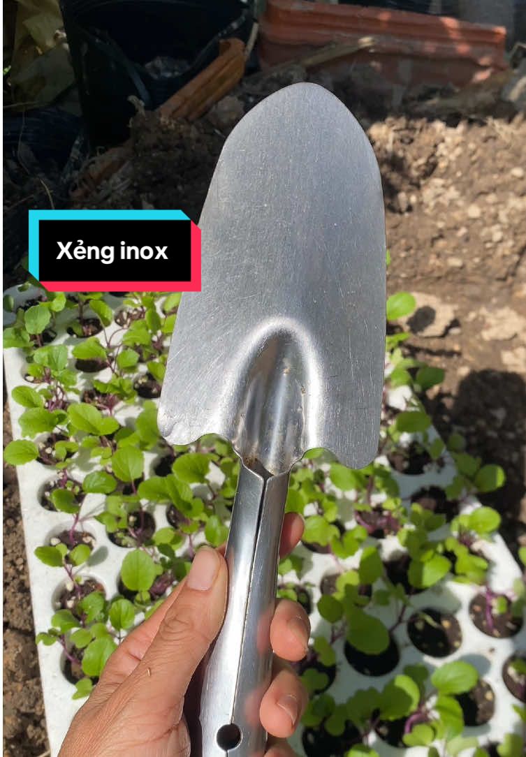 Nhỏ gọn, giá rẻ mà lại được việc. Là e đang nói về cái xẻng inox này đấy ạ #oanhmelamvuon #xenginox  @Oanh mê làm vườn 