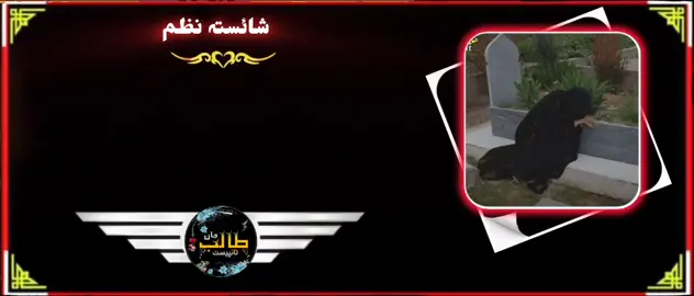 #virlmyaccountigromyaccountpliz #fypシ゚viral🖤tiktok☆♡🦋myvideo #virlmyaccountigromyaccountpliz 