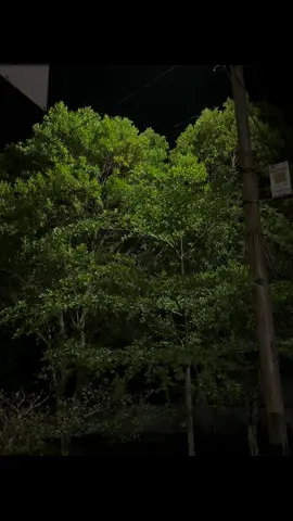 Gimana hari-hari kalian setelah tanpa dia? #xyzcba #lyrics #fouryou 