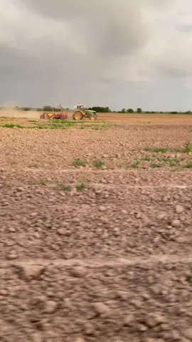 🌱🇧🇷 @Agro w.M. 