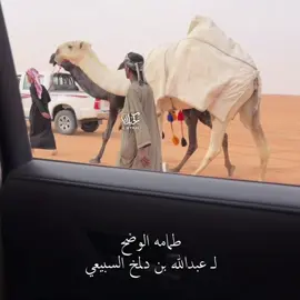 #طمامه #ابن_دلمخ #الصياهد 