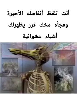 #الشعب_الصيني_ماله_حل😂😂 #الموت #احلام #العصور_الوسطى 