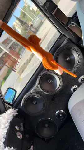 Maymun Dekorda Mayyk😜 . . . . . . . #mb8 #mobass #tofaş #sessistemi #keşfet 