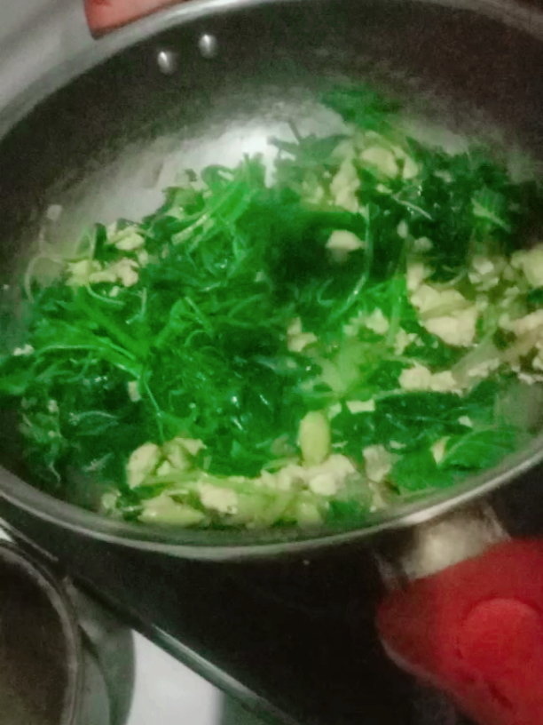 malem2 laper,mau beli udh pada tutup,untung dibelakang rumah ada sayur bayam,tumbuh sendiri tinggal petik😃 #masaksederhana #makansehat #sayurbayam 