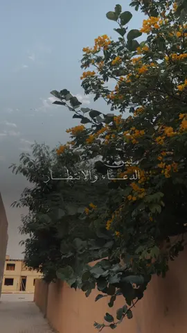 قالوا : اللهُ ورسولُه أعلَمُ قال : أوَّلُ مَن يدخُلُ الجنَّةَ مِن خَلْقِ اللهِ الفُقَراءُ المُهاجِرونَ الَّذينَ يُسَدُّ بهم الثُّغورُ وتُتَّقَى بهم المَكارِهُ ويموتُ أحَدُهم وحاجتُه في صدرِه لا يستطيعُ لها ... #اللهم_لك_الحمد_ولك_الشكر #اللهم_صل_على_محمد_وآل_محمد #سبحان_الله_وبحمده_سبحان_الله_العظيم #العراق_السعوديه_الاردن_الخليج #النجف_الاشرف  