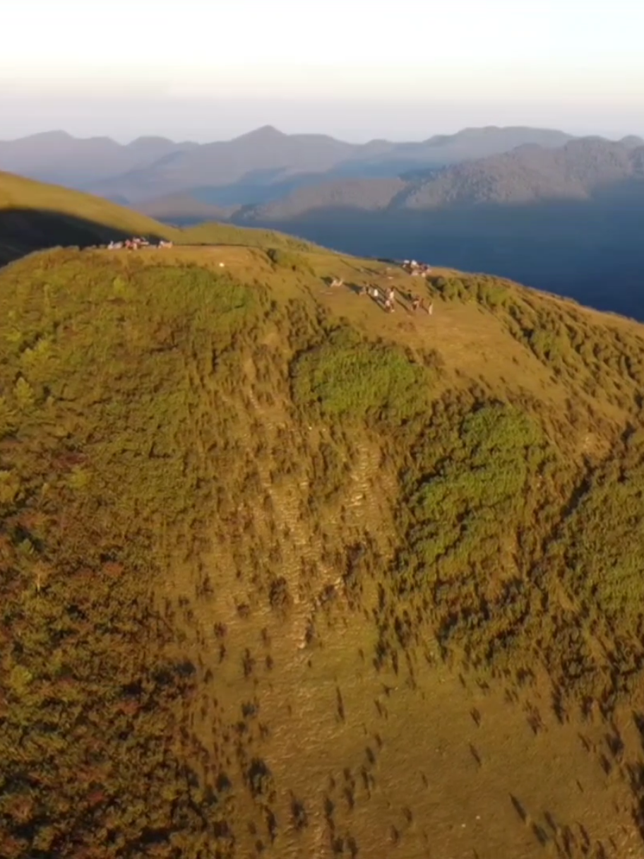 7.12.2025 ເກັບໄວ້ເປັນຄວາມຊົງຈຳພູຫົວໂລ້ນ#ເມືອງສີງ #ແຂວງຫຼວງນ້ໍາທາ🇱🇦 