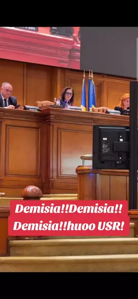 #Demisia!!Demisia!!Demisia!!huoo USR! @GEORGE SIMION  #foryoupage #fyp #goviral 
