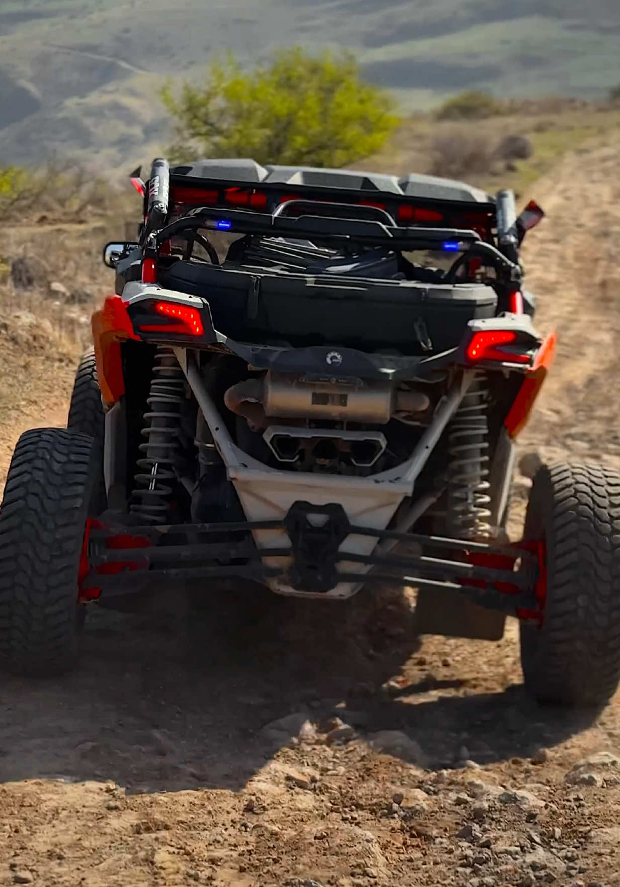 #foryou #fyp 🕷️🕸️