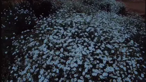 🎙️ Khalid Ar-Rashid #salafy #salafiyyah #haqq #islamic_video #reminder reminder