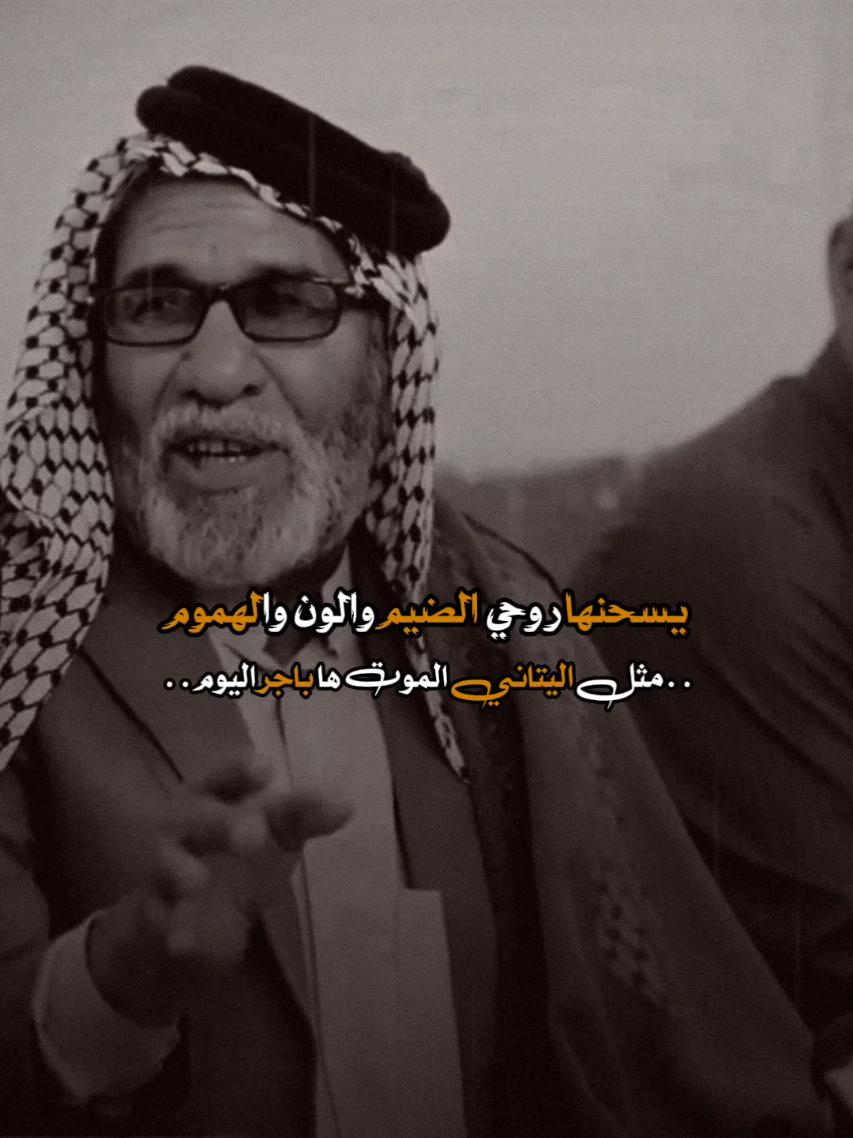 #قصايد_شعر_خواطر#ابوفهد_العارضي#دارميات#دارميات_مملوحة#المصمم_الغريب 