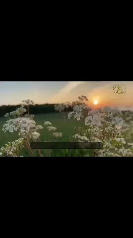 ... #tiktok #foryou #fyp 