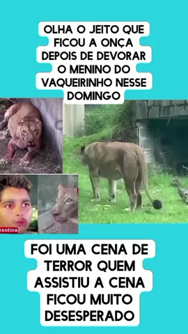 #LIVEIncentiveProgram #LIVEStory #PaidPartnership 