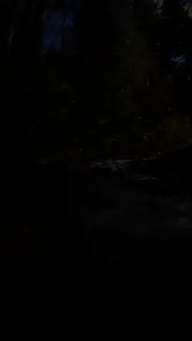 ويا قوم أوفوا المكيال والميزان بالقسط#quran #القرآن_الكريم #سعود_الفايز #foryou #آيات_قرآنية 