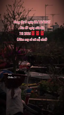 Con muốn về lắm nhưng con có nỗi khổ riêng mẹ à, con hứa năm nay con sẽ về ăn tết với mẹ..! #nhacxuan #tet2026 #capcut #capcutpioneer #pioneertemplate 