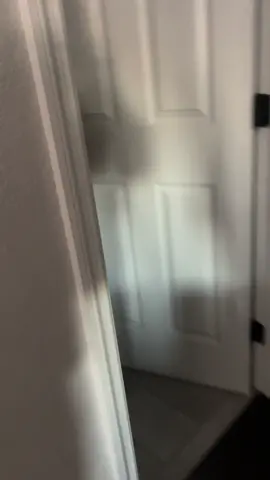 Patiently waits for a sippy-sip #whydoeshedothat #kitty #turkishvan #kittendistributionsystem #piper #thirsty 