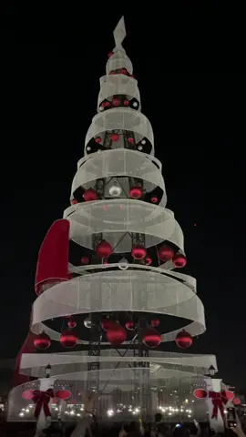 Pasko sa Naga 2025 #cityofnagacebu #pasko #firworks 