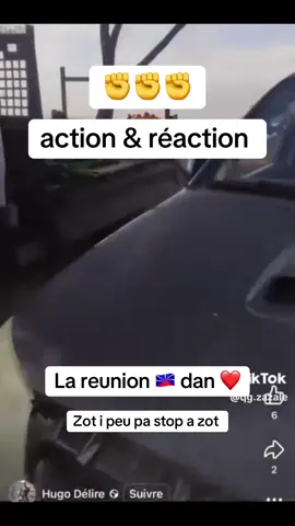 Action & réaction #iledelareunion #974 #coqlakour #reunion974 #pourtoi 
