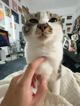 hello scratch scratch scratching #scratchingasmr #asmrsounds 