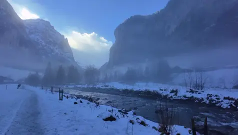 Nature vibe #naturevibes #peace #nature #141 #viwes 