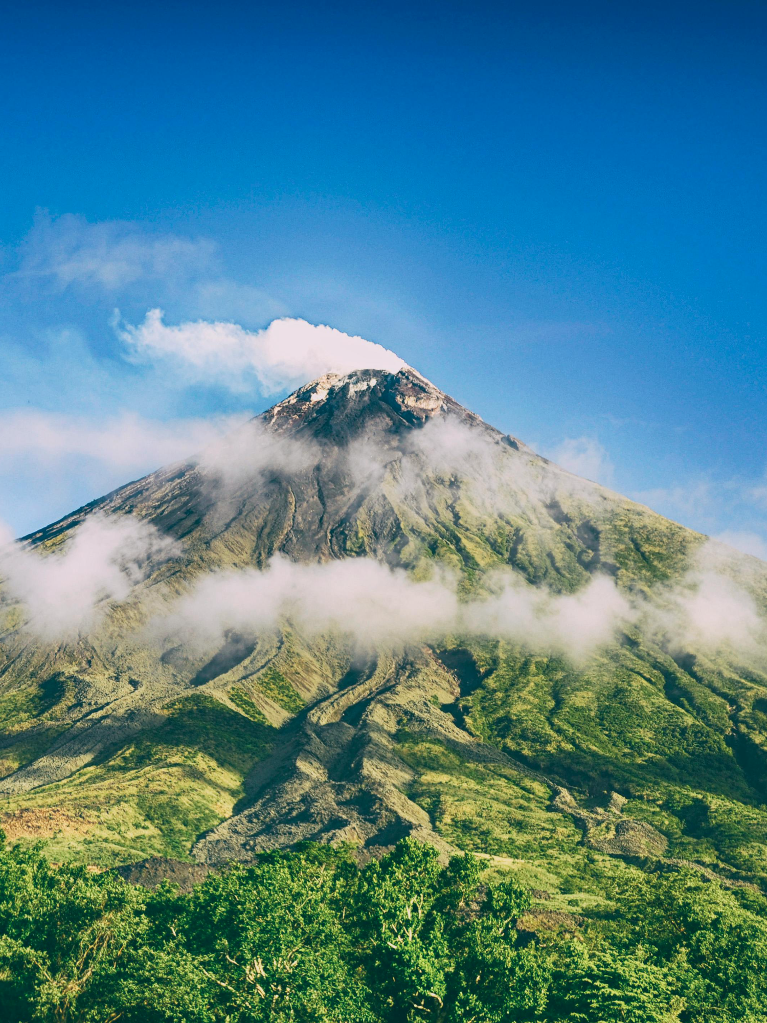 Tại sao phụ nữ làm mẹ đơn thân ngày càng nhiều ? #medonthan #phunungoaitinh #aotuongtinhyeu #tiktok #trending