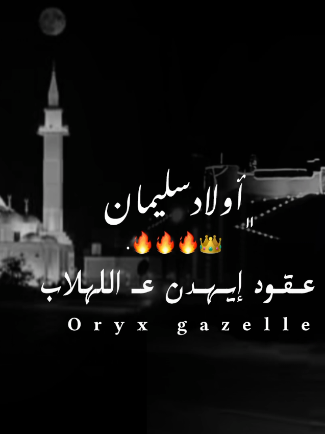 🔥🔥😮‍💨.#اولادسليمان_شامخين👑 #أولاد_سليمان_المجد🔥👑 #حسن_معتوق_الزادمة🔥🖤 #سبها_ليبيا_الجنوب_الليبي #هراوه 