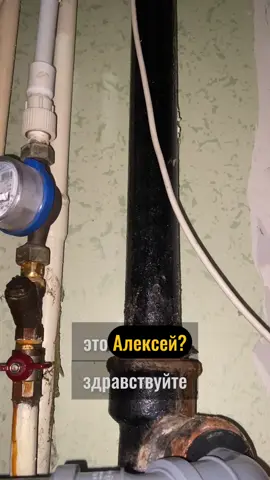 Крик души заказчицы #сантехник #северодвинск