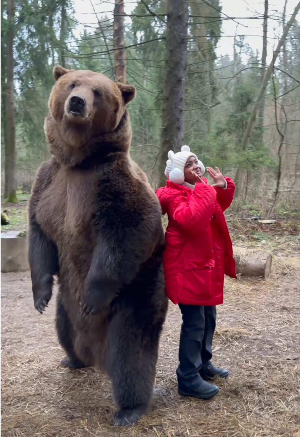 شهر العسل مع صاحب العسل نفسه 🍯🐻 