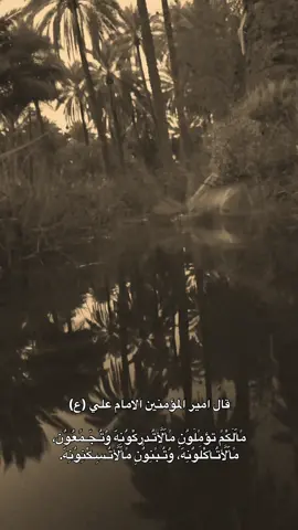 #شاركوا🤎👇  .  .  .  .  #مشاهير_تيك_توك #العراق🇮🇶 #متابعه 